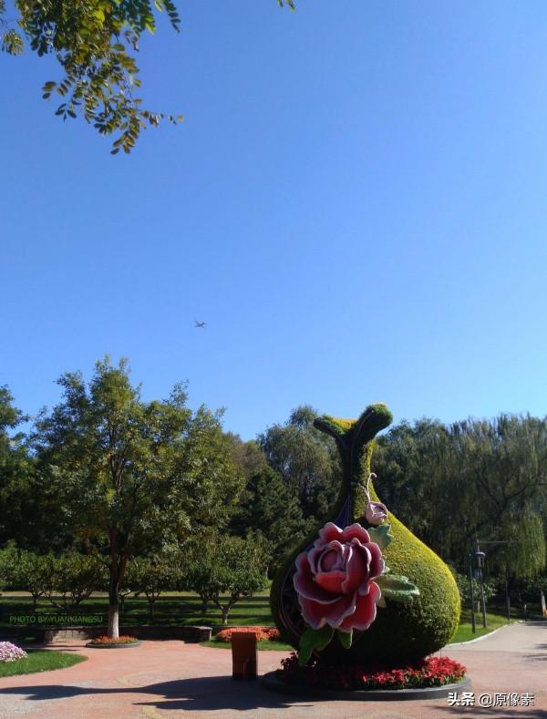 金秋十月，騎行大運河森林公園
