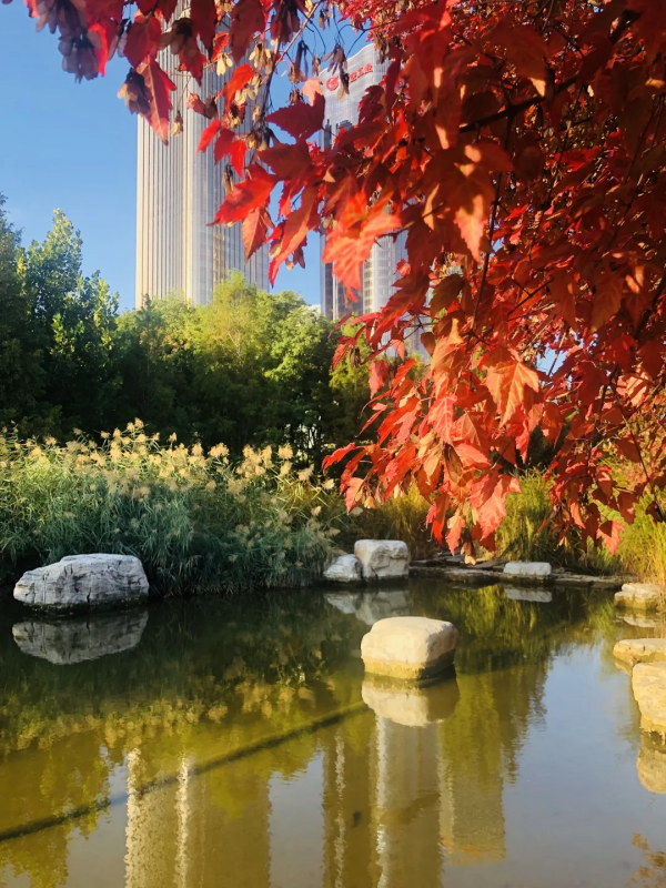 朝陽遊園推薦：大望京公園