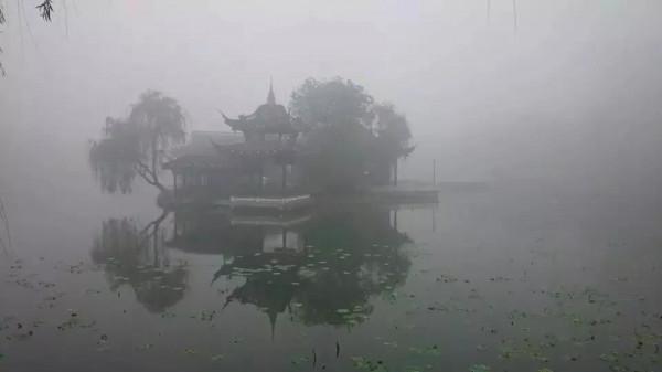 晨霧中的荷花池公園