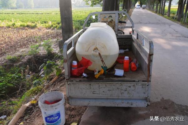 巧用阿維菌素:農民掌握幾個混配方法,低成本解決田間多種害蟲 巧用阿維菌素:農民掌握幾個混配方法,低成本解決田間多種害蟲