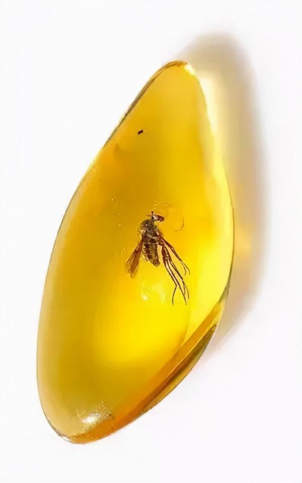 只知原石美可不行,帶你揭秘原石的“美貌密碼” 只知原石美可不行,帶你揭秘原石的“美貌密碼”