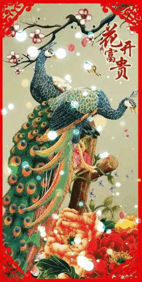 人生最美幾何時 看見孔雀和鳳凰 雙福來襲