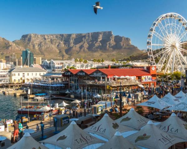 印度 ≠ 非洲,14項差距太明顯 印度 ≠ 非洲,14項差距太明顯