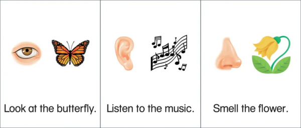 1305張牛津分級單詞閃卡免費領,幫助孩子輕鬆拿下小學必備詞彙 1305張牛津分級單詞閃卡免費領,幫助孩子輕鬆拿下小學必備詞彙