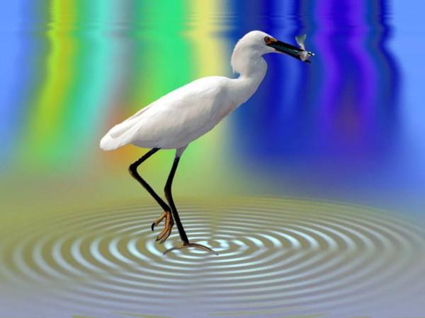 海洋的景色，真美