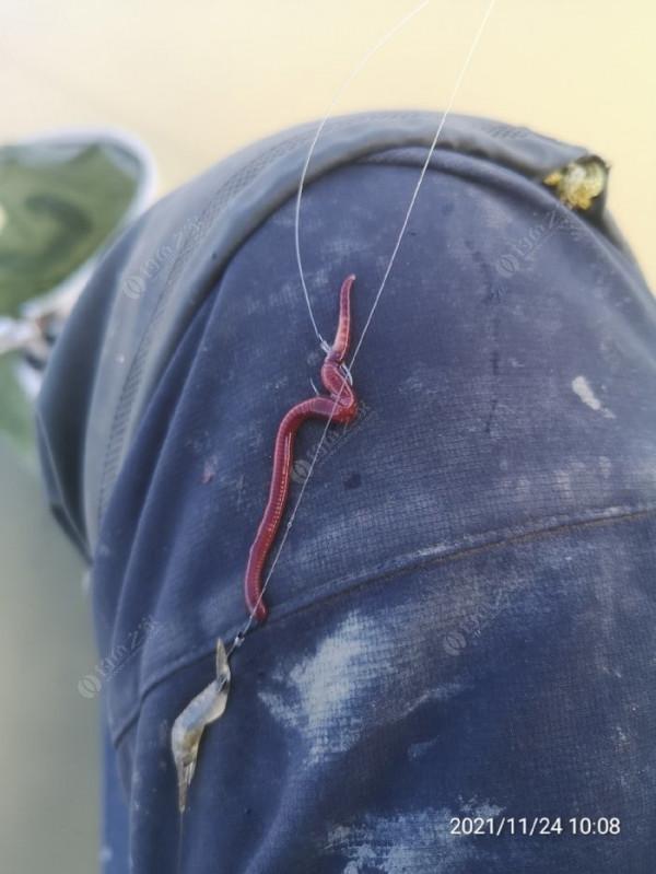 小小的改變讓爆護不是難事，哪裡跌倒就要從哪裡爬起來