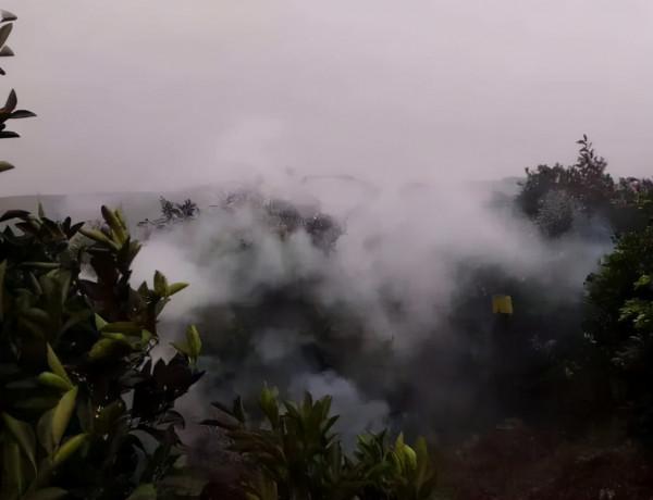 柑橘種植千萬條，冬季防凍第一條！這些方法趕緊收藏