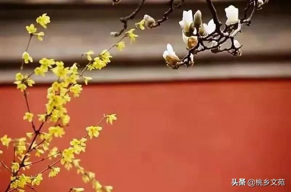 「詩歌」韓吉忠：我愛你（外一首）