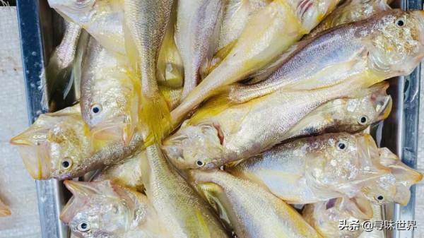 遇到稱為“鮮霸”的小魚,毫不手軟買了300塊,只是太少見了 遇到稱為“鮮霸”的小魚,毫不手軟買了300塊,只是太少見了