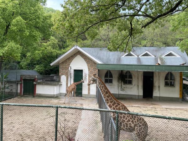 和動物們在一起 和動物們在一起