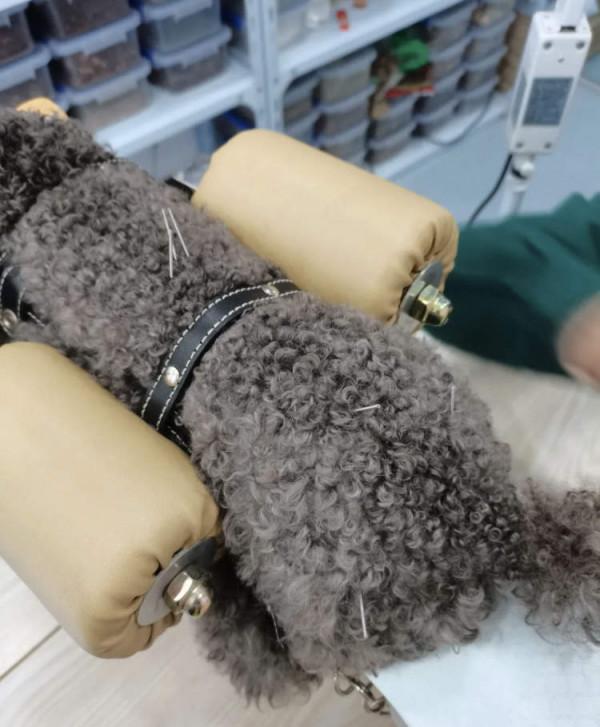 主人眼中的救命稻草——中醫，真的能給寵物帶來奇蹟嗎？