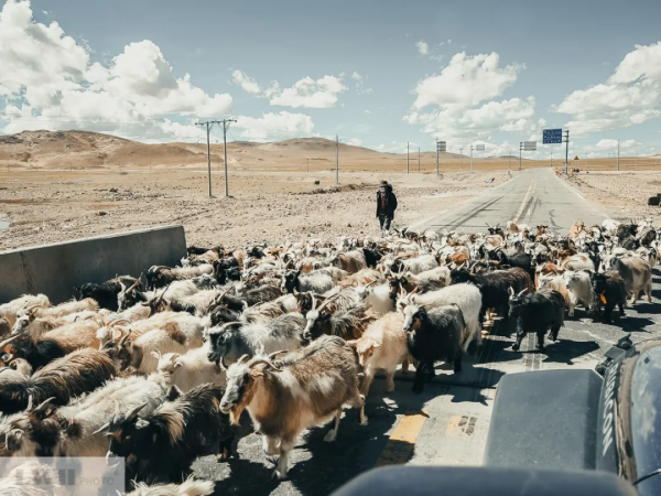 兩個人，一輛車，阿里北線無人區穿越
