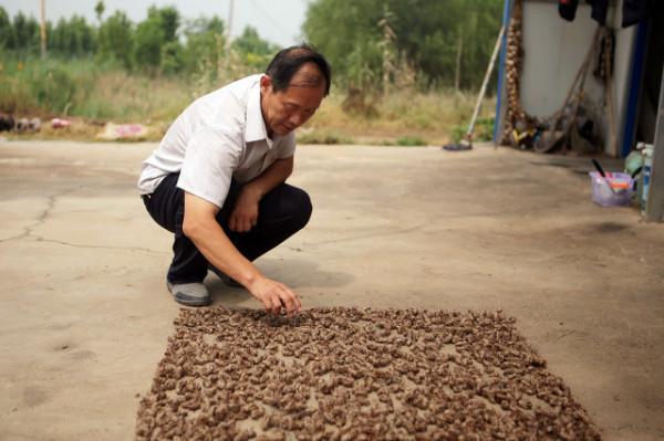 人活一口氣，用一張方把氣補足了，耳鳴自然消失了