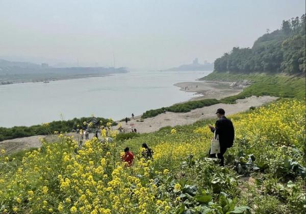 重慶遊不一樣玩法：乘綠皮火車逛廢棄古鎮，賞中國第二鐵路大橋