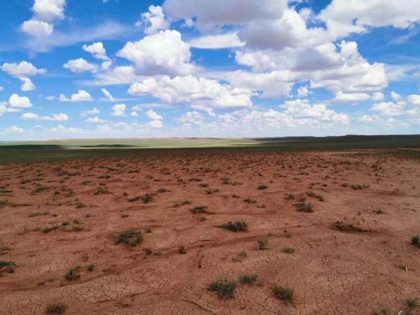 遠古發現丨這種史前小動物，滅絕與“臉短”有關嗎？