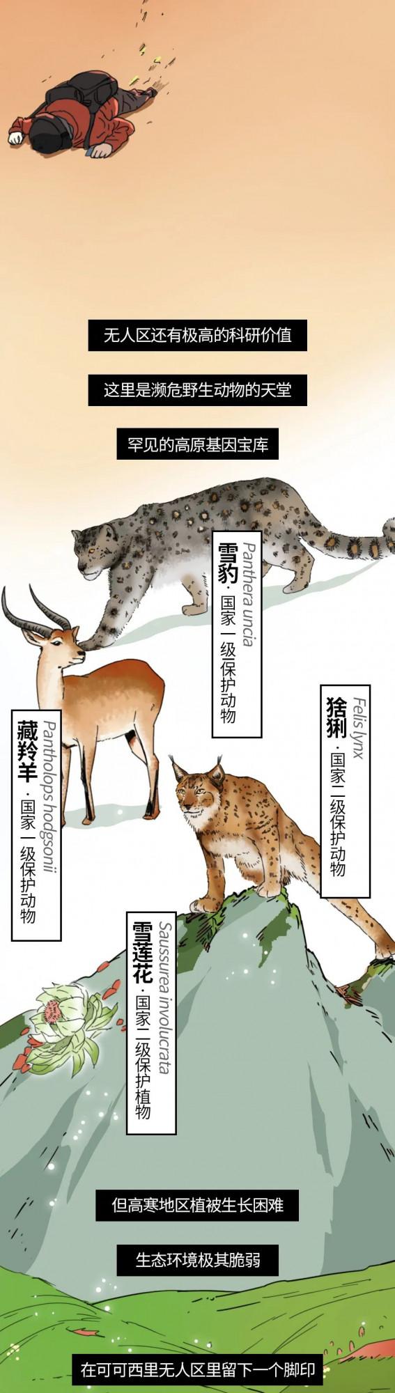 千萬不要在無人區的車上過夜