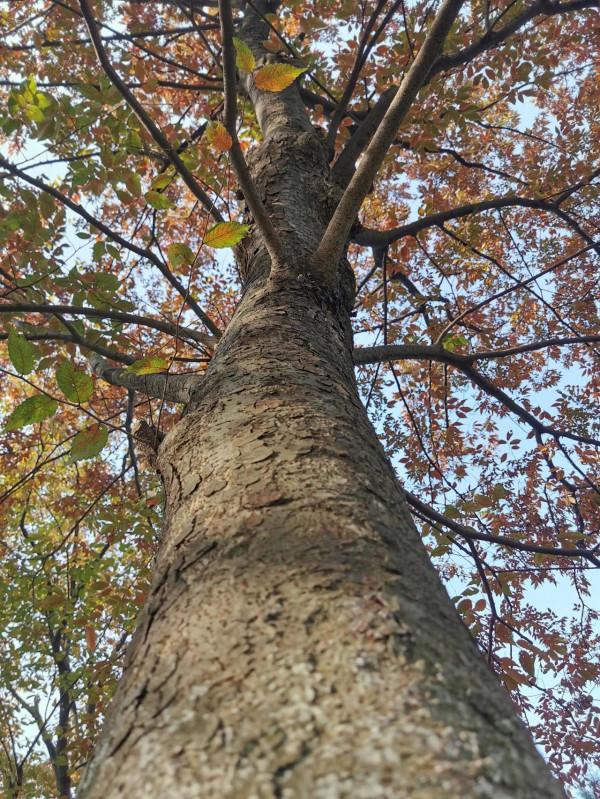 追求自己快樂的慢跑