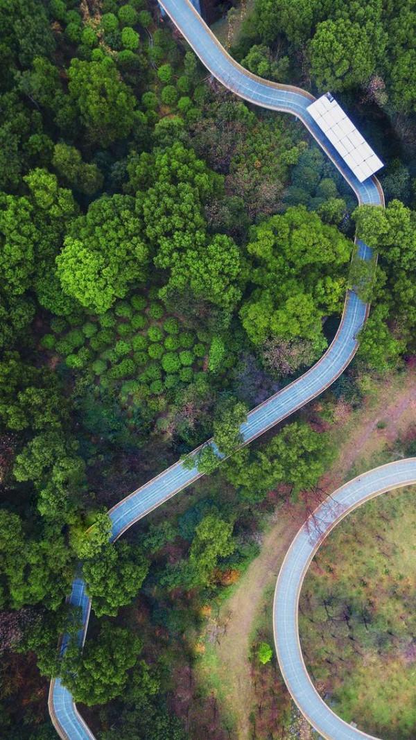 江西超值得去的網紅點，治癒人心的公園，春天第一場露營來這裡