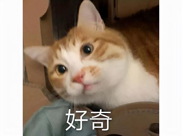 2021年沒得玩了?多款網遊大作本週上線,沒想到口碑接連翻車 2021年沒得玩了?多款網遊大作本週上線,沒想到口碑接連翻車