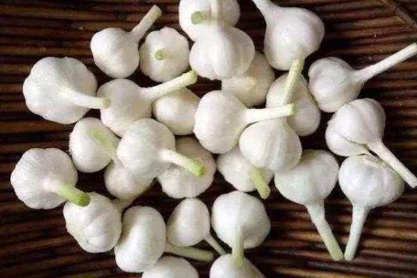 簡簡單單醃製大蒜,農家的傳統方法,一看就會 簡簡單單醃製大蒜,農家的傳統方法,一看就會