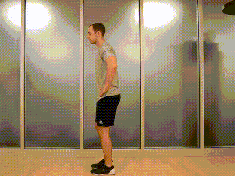 堅蛋說 | 久坐致膝蓋缺乏運動？記得在健身房多練這幾式