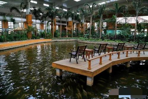 沒錢沒技術的農村人,如何能快速賺到錢,這裡有幾個不錯的方法 沒錢沒技術的農村人,如何能快速賺到錢,這裡有幾個不錯的方法