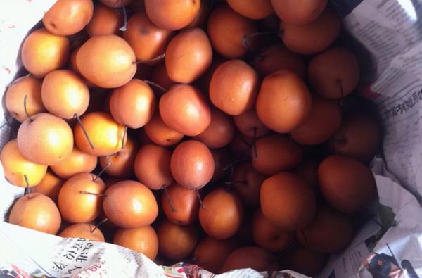 我國原生態的梨，俗稱“狗屎梨”，兒時只摘果吃，原來花也能吃