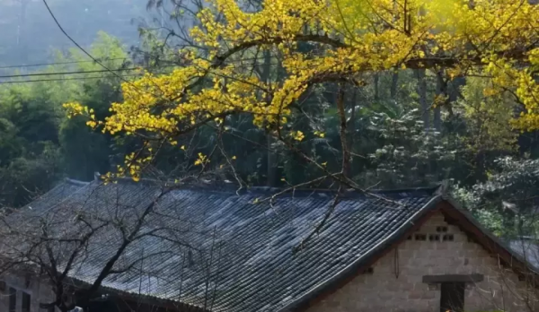 年初的旅行計劃都實現了嗎？這12個地方人少景美，再不去就晚了