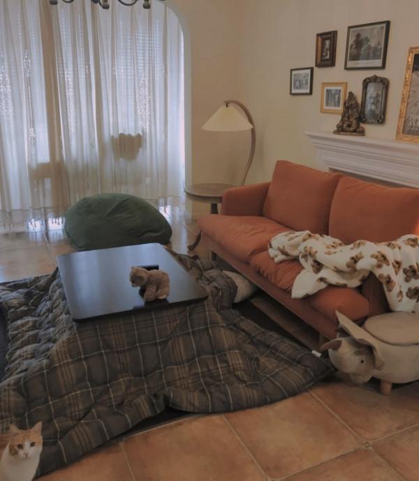 今年秋冬，又火了一批家居小物，更有創意，更讓人驚喜