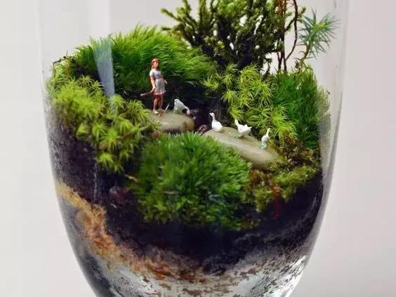 養花並不需要侷限於陽臺，這樣的創意養花，你能想到嗎？