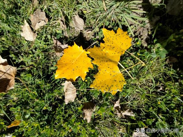 因為整容,孩子說他是我抱來的 因為整容,孩子說他是我抱來的