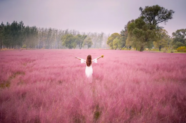 70多歲的老太太,把單身了48年的她,變成了兒子的女朋友 70多歲的老太太,把單身了48年的她,變成了兒子的女朋友