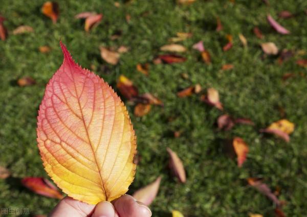 天氣預報:九月二十五不一般,下雨有什麼說法?看看老祖宗怎麼說 天氣預報:九月二十五不一般,下雨有什麼說法?看看老祖宗怎麼說