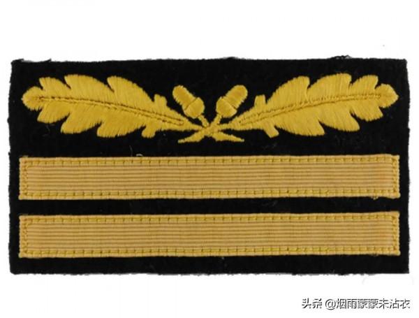 條條槓槓眼花繚亂,看看二戰德國黨衛軍迷彩軍銜是啥樣 條條槓槓眼花繚亂,看看二戰德國黨衛軍迷彩軍銜是啥樣