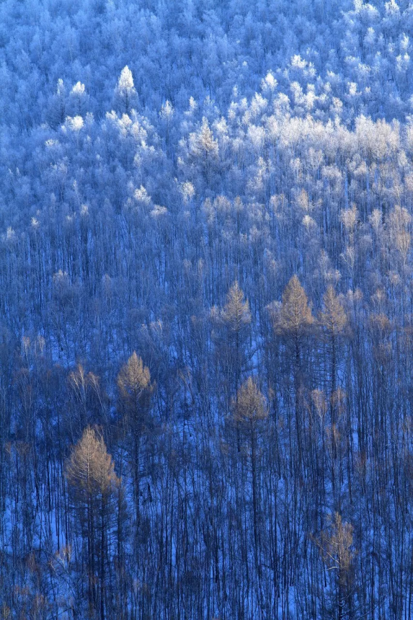 太美了！等一個人陪我去這11個地方，看看下了雪的中國
