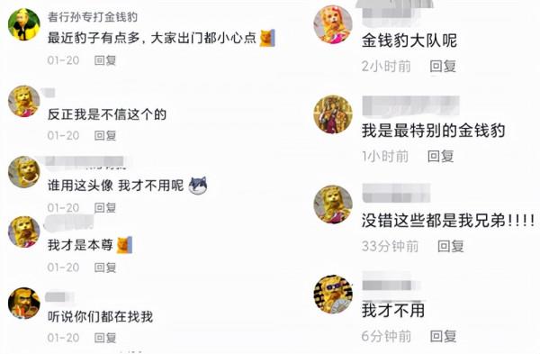 勸年輕人過年別碰砂糖橘,不然真停不下來 勸年輕人過年別碰砂糖橘,不然真停不下來