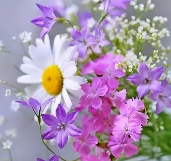 近期，4個星座，柔軟卻不卑微，善良卻不懦弱，活得開心舒心順心