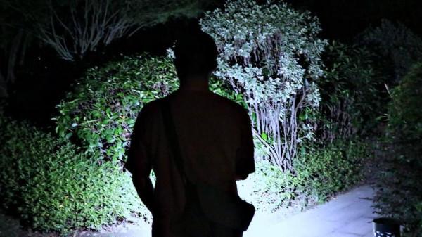 傲雷指揮家3龍鳳限量版,醉人國風美豔絕倫 傲雷指揮家3龍鳳限量版,醉人國風美豔絕倫