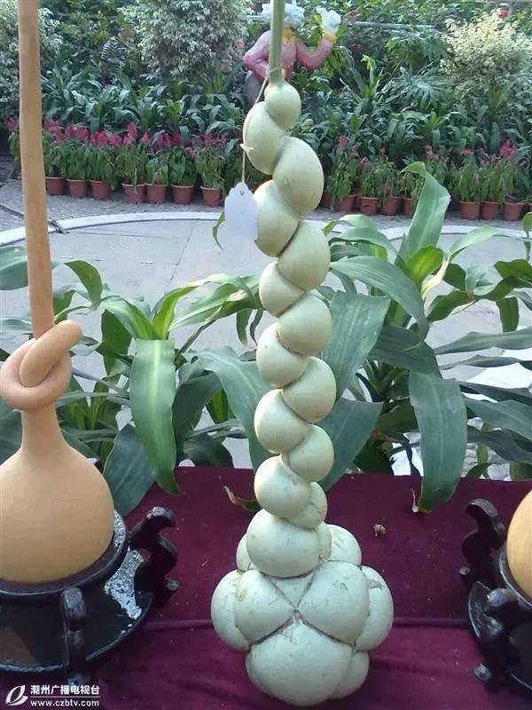 奇花異果有限公司年會（近百位奇花異果參加了本次年會）