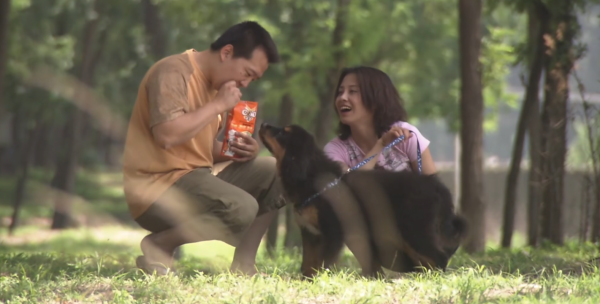 夫妻搬進新小區，被告知不讓養大型犬，藏獒竟咬舌自盡！國產片