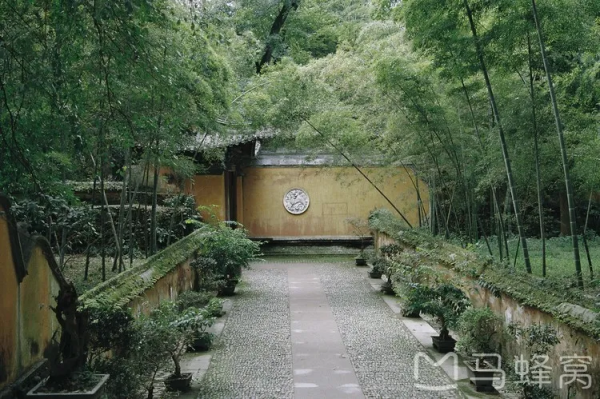 《長津湖》票房破53億,能超越《戰狼2》嗎?取景地美如仙境 《長津湖》票房破53億,能超越《戰狼2》嗎?取景地美如仙境