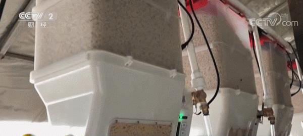 高射水炮澆地，無人機撒農藥…網友：又騙我種地