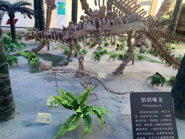 黑豹帶你去旅行啊 黑豹帶你去旅行啊