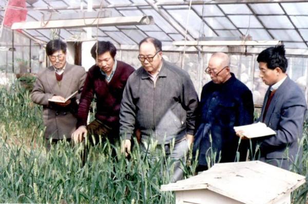 先生走好！我國著名小麥育種家李晴祺去世 享年92歲