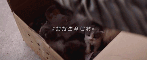 誘拐少女,賄賂官員,勾結恐怖分子,這部IP續集可真敢拍 誘拐少女,賄賂官員,勾結恐怖分子,這部IP續集可真敢拍