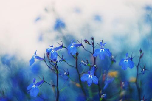 為了孩子的人生旅程，不能和孩子一般見識