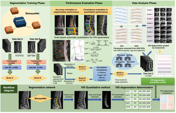 國際首創智慧讀片！1秒內自動測算5個腰椎間盤20個參量，精準判斷退變分級