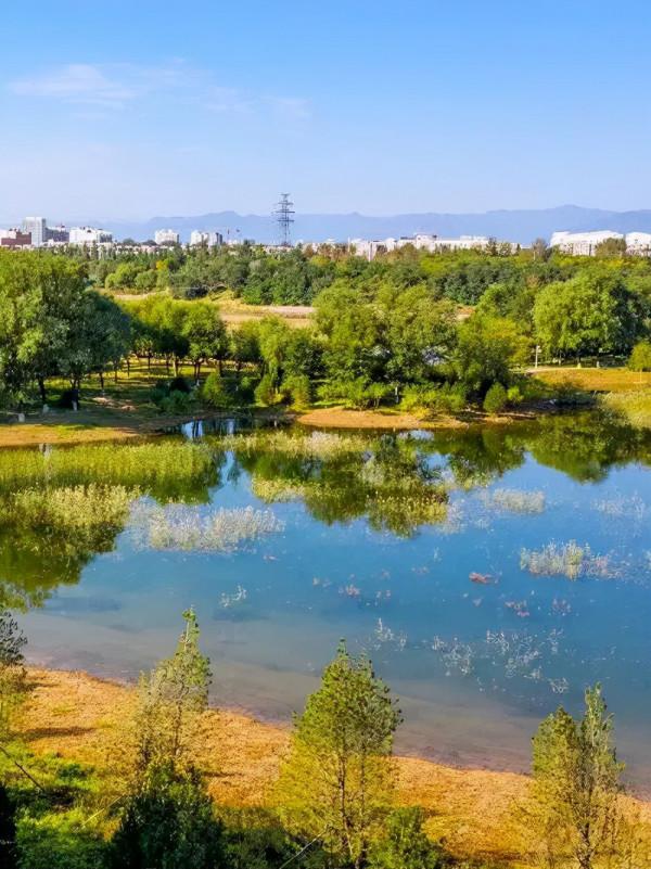 快來！您想欣賞的秋景，都在濱河公園