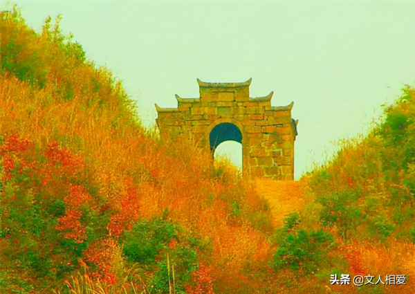 兩位紅軍師級同鄉，一位烈士一叛徒，叛變者拉起數千人隊伍被處決