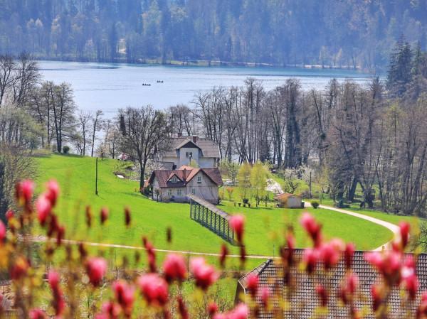 盤點歐洲國家旅遊分級,哪個最美?金豬四國當仁不讓 盤點歐洲國家旅遊分級,哪個最美?金豬四國當仁不讓